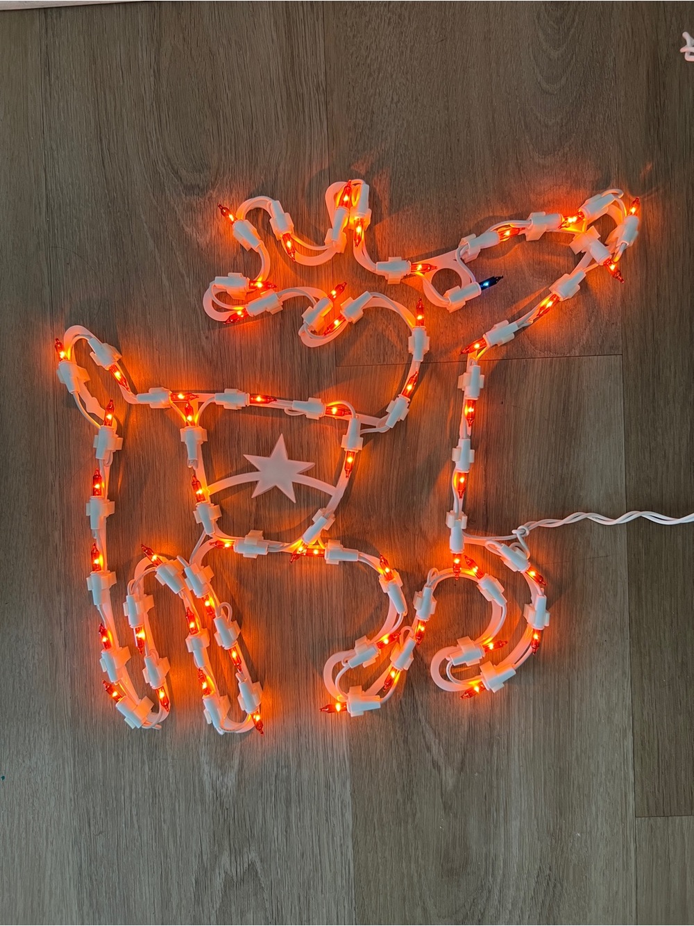 Red Light-Up Reindeer Accent Christmas Decor